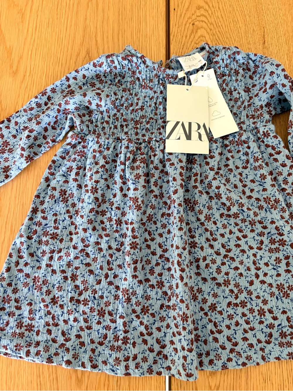 Zara Light Blue Floral Dress with Burgundy Flowers